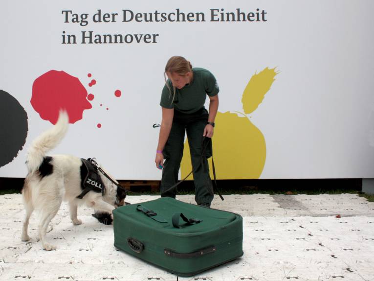 Ein Spürhund untersucht einen Koffer, eine Zollbeamtin begleitet ihn dabei