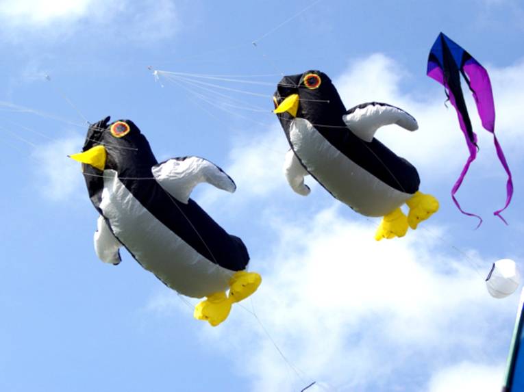 Zwei Drachen in Form von Pinguinen und ein lilafarbener Lenkdrachen vor blauem Himmel.