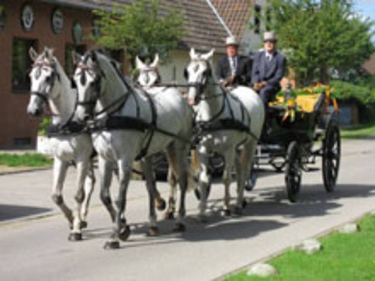 Hochzeitskutsche vom Hof Döpke