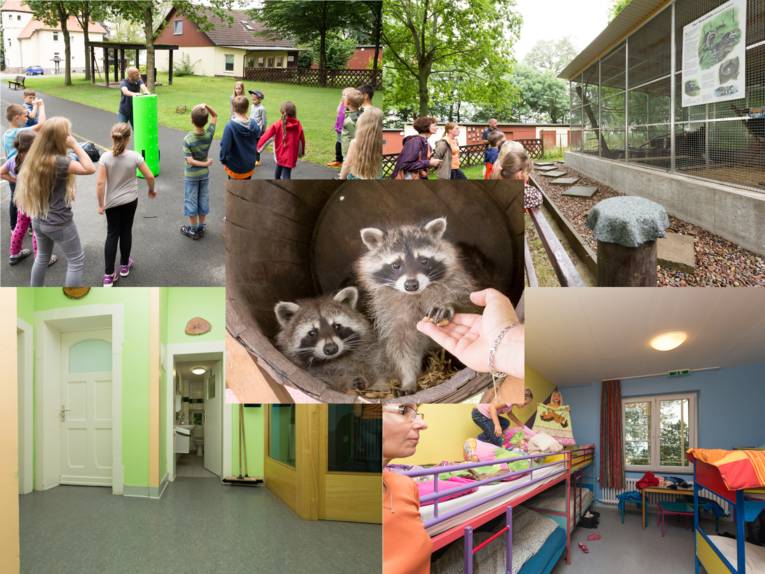 Ein Bild aus fünf Einzelbildern.