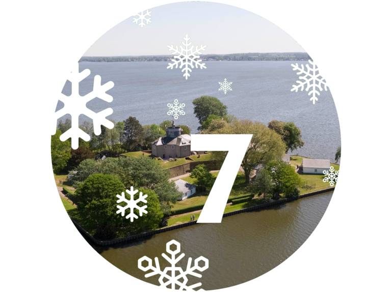 Blick aus der Luft auf die Insel Wilhelmstein mit Festungsanlage.