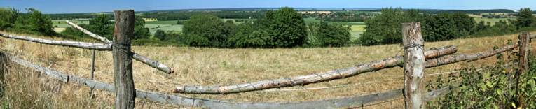 Naturpark-Steinhuder-Meer