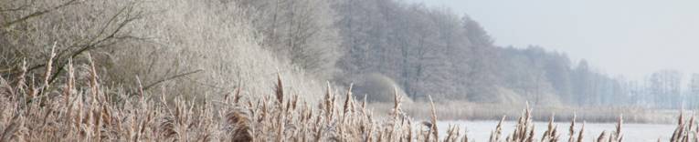 Naturpark-Steinhuder-Meer