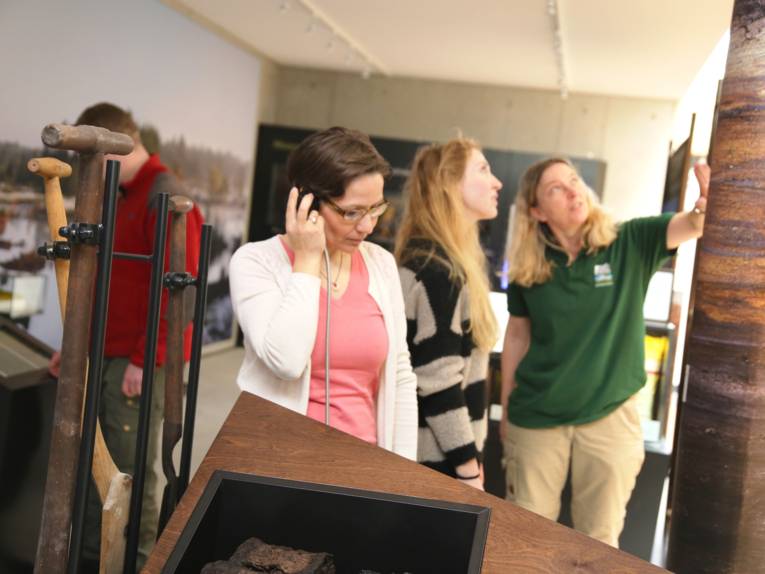 Drei Frauen und ein Mann schauen sich die Ausstellung im Naturpark-Haus am Steinhuder Meer an.