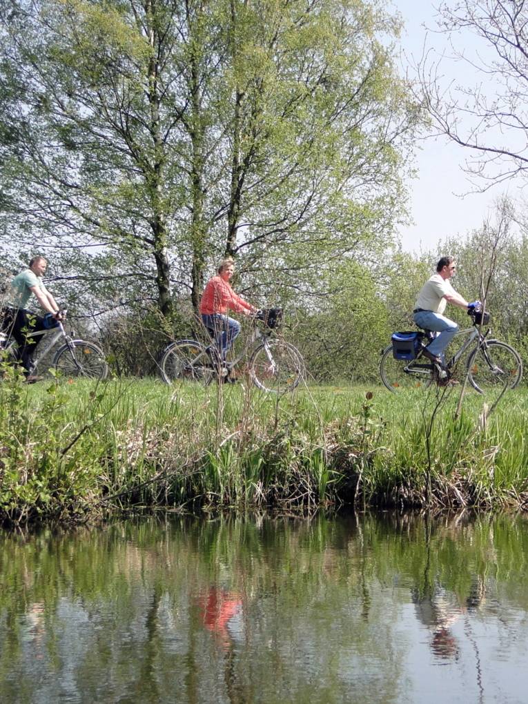Radfahrende in grüner Landschaft, parallel zu einem Gewässer.