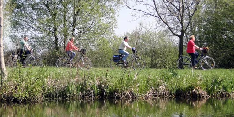 Radfahrende in grüner Landschaft, parallel zu einem Gewässer.