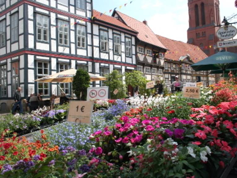 Fachwerkhäuser umgeben den Blumenstand eines Wochenmarktes.