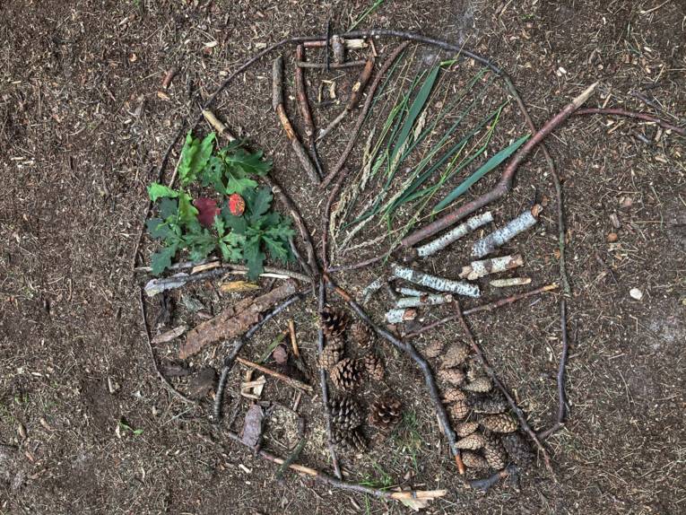 Zweige, Blätter und andere Materialien auf dem Boden, zu einem Mandala angeordnet