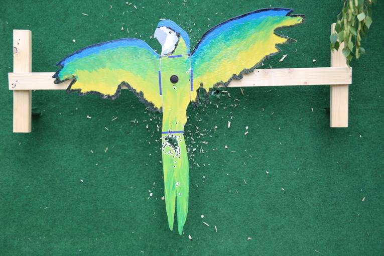 Menschen an einem Schießstand und in einer Festhalle. 