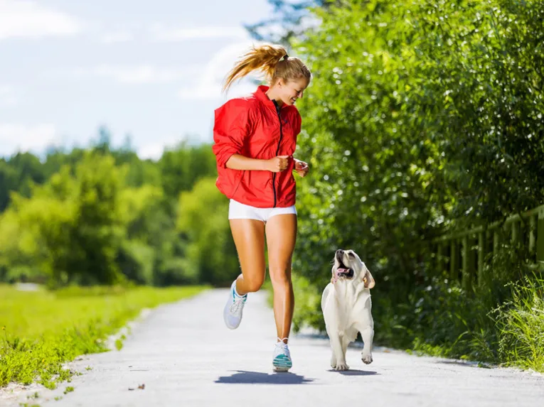 Sport mit Hund