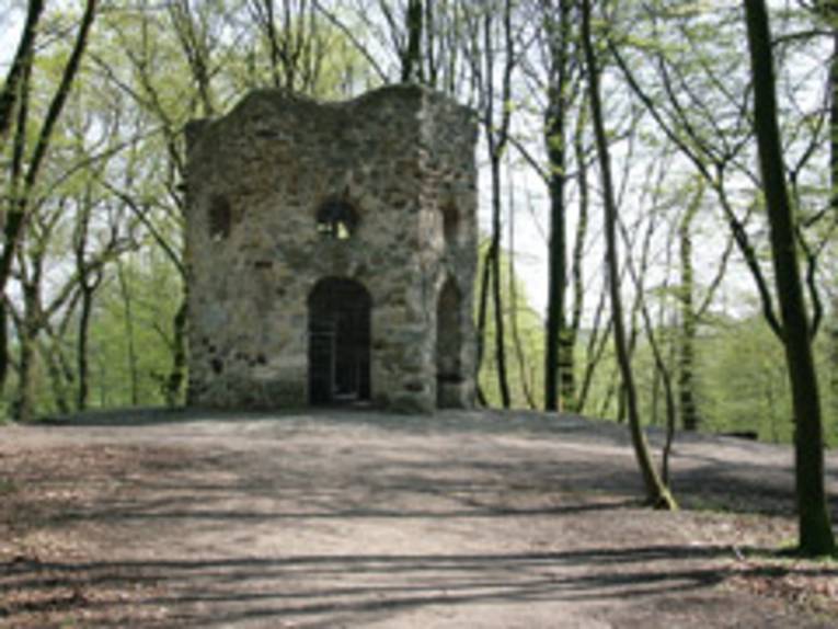 Wanderweg im Wald, der auf eine auf einem Hügel liegende Ruine zuführt