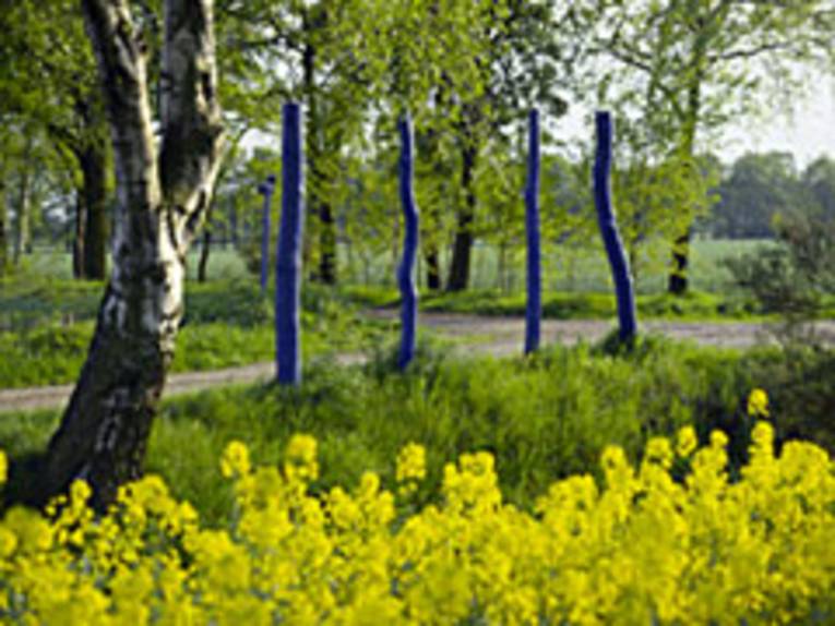 Blick aus einem Rapsfeld heraus auf einen mit blauen Pfosten gekennzeichneten Radweg