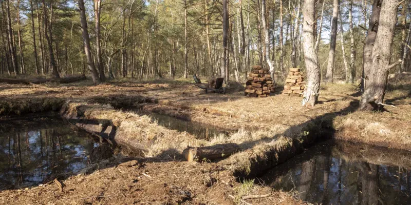 Rechteckige,mit Wasser gef&uuml;llte Becken in einer Waldlandschaft, dahinter Torfsoden