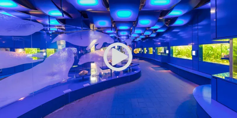 360&deg; Tour durch das Landesmuseum