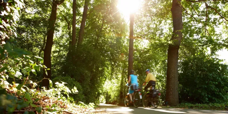 Zwei Radfahrer im Wald.
