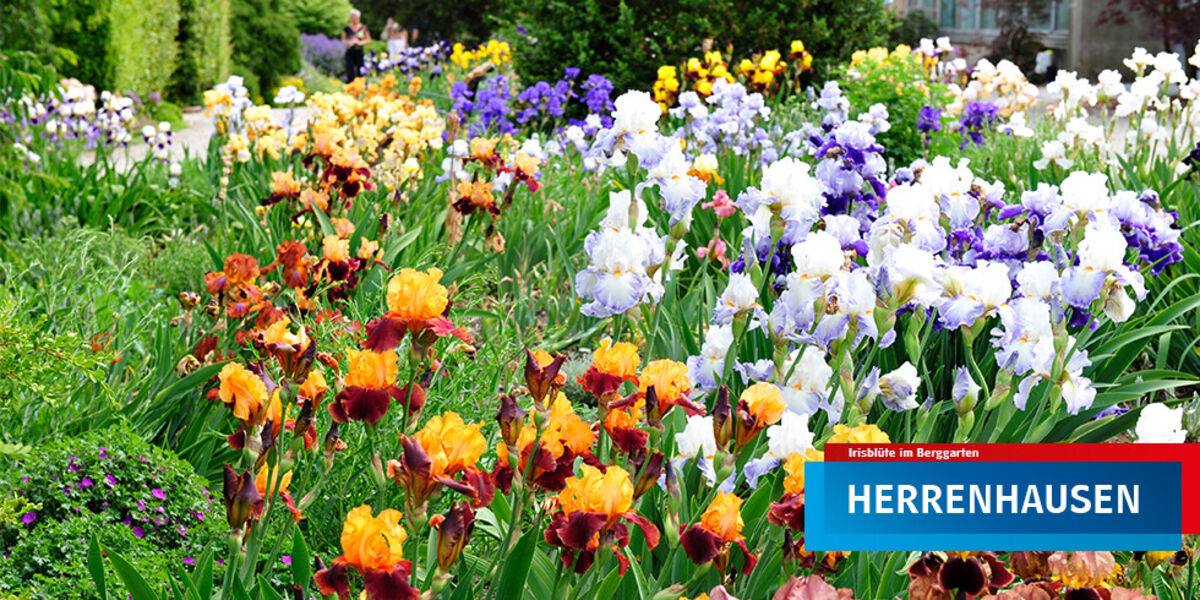 Feuerwerk Hannover Hotel Ubernachtung Erlebnispaket