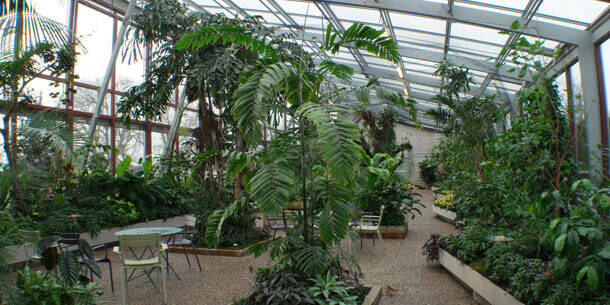 Tropenhaus Schauhauser Berggarten Herrenhauser Garten Herrenhausen Bilder Landeshauptstadt Hannover Bilder 01 Data Neu Media Www Hannover De Herrenhausen