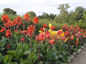 Royal Gardens Of Herrenhausen Tourist Highlights Sightseeing City Tours Tourism Culture Welcome To Hannover Home Hannover De