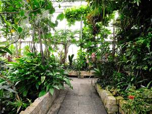 Royal Gardens Of Herrenhausen Tourist Highlights Sightseeing City Tours Tourism Culture Welcome To Hannover Home Hannover De