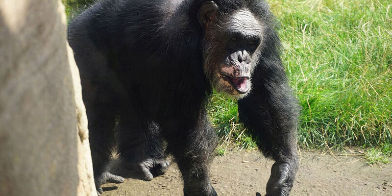 Herzlichen Gluckwunsch Zum Geburtstag Zu Ihnen Geniessen Sie