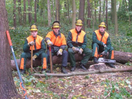 Ausbildung Zumzur Forstwirtin Ausbildung Im Fachbereich Umwelt